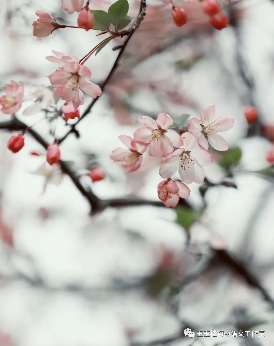 教师写教案的目的_写教师节的作文300字_教师教案怎么写