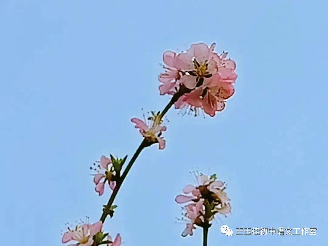 教师教案怎么写_教师写教案的目的_写教师节的作文300字