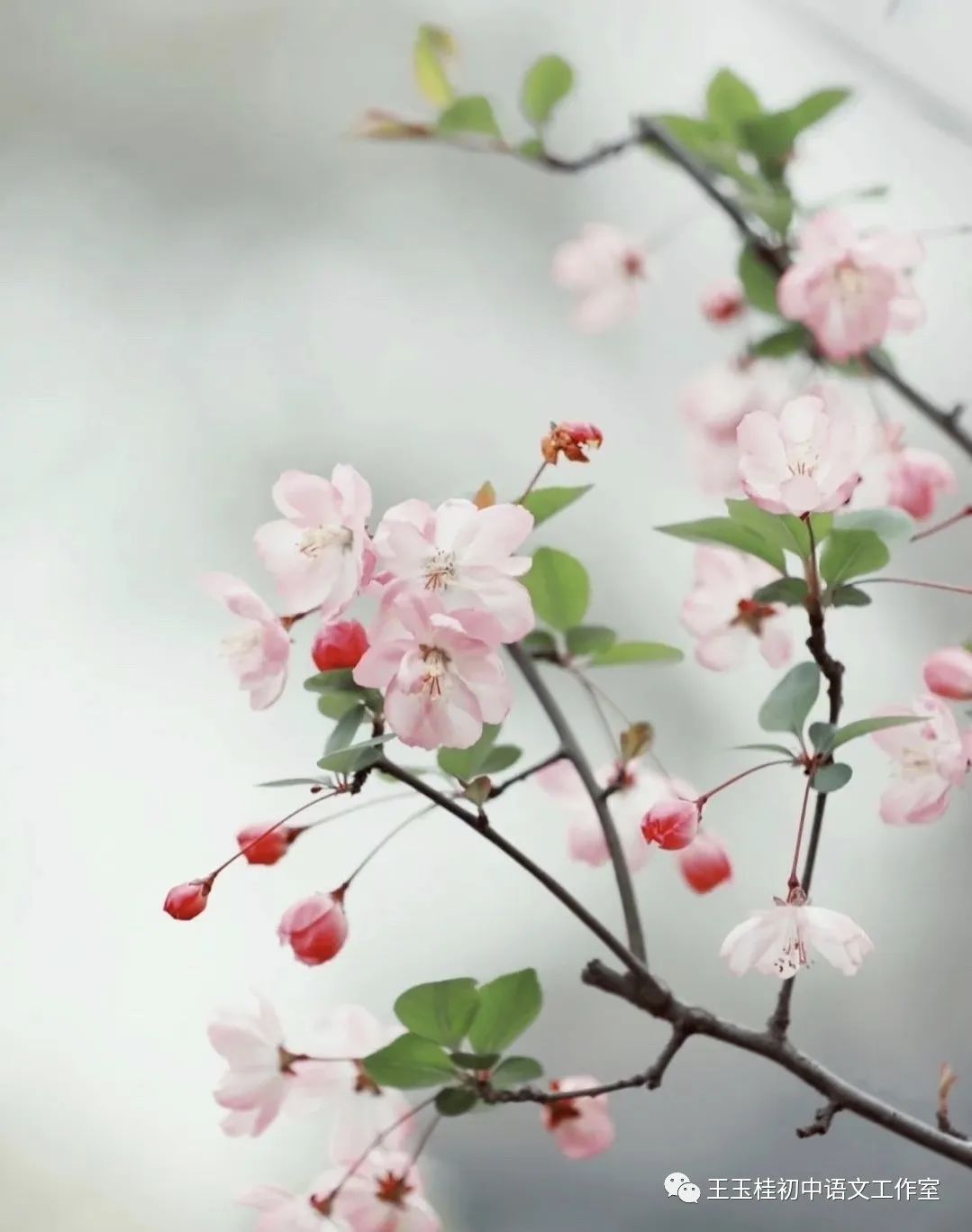 教师教案怎么写_写教师节的作文300字_教师写教案的目的