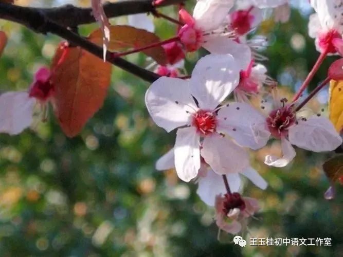 写教师节的作文300字_教师教案怎么写_教师写教案的目的