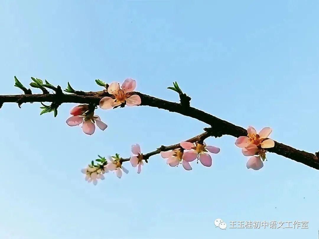 教师教案怎么写_写教师节的作文300字_关于写教师日记的建议读后感