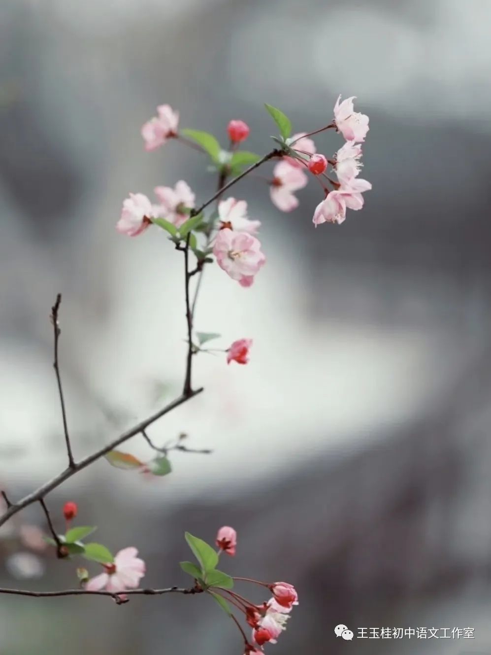 教师教案怎么写_写教师节的作文300字_关于写教师日记的建议读后感