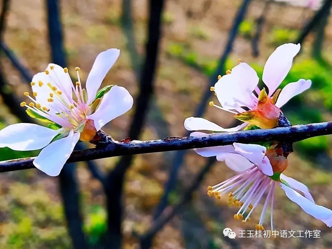 关于写教师日记的建议读后感_写教师节的作文300字_教师教案怎么写