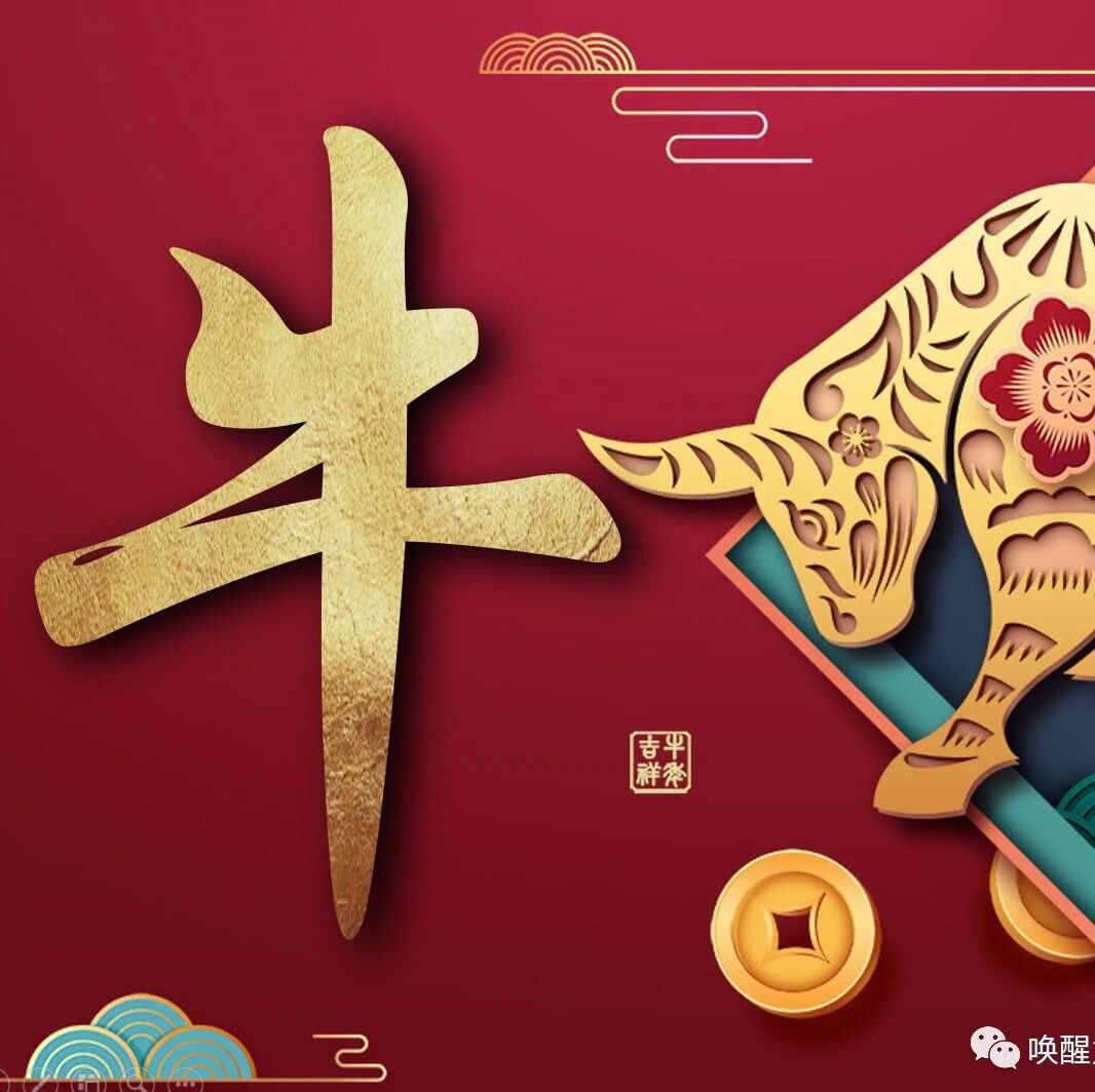 每一个妈妈的绽放意味着孩子的绽放