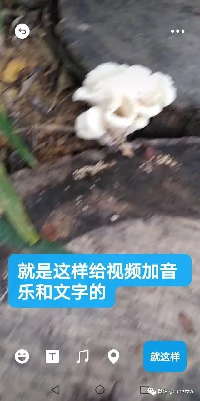 ppt多张照片滚动播放怎么做