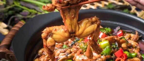 一蛙吃出11种口味！大咖空降昆山，满满鲜香滑嫩大长腿