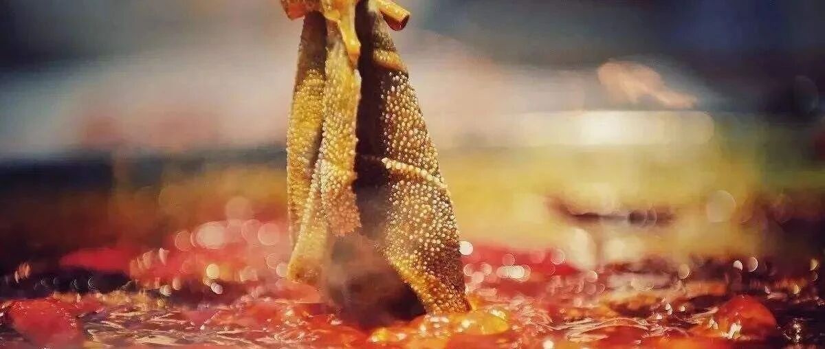 登上舌尖2，红遍全国！昆山火锅界杀来个狠角色，3.8折吃垮它