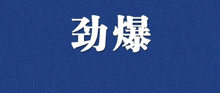海狮秀、沙滩…畅玩7大主题！海昌海洋萌宠乐园开进昆山，29.9元限时返场