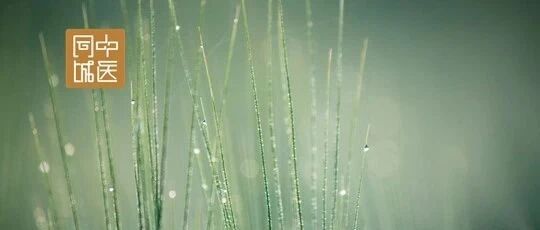 警惕那些说包治百病的“神医”