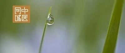 董洪涛对中医治疗皮肤病的体会