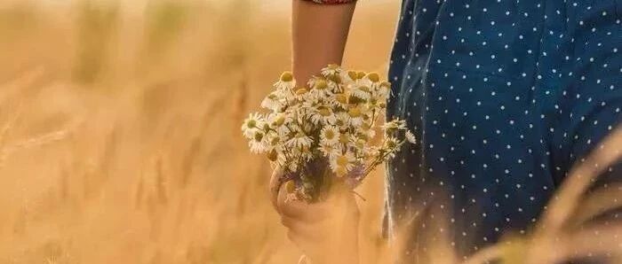 张琪辨治劳淋经验