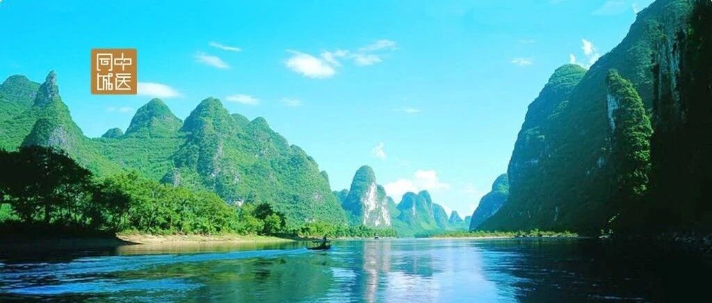 狗脊毛外用止血卓有成效