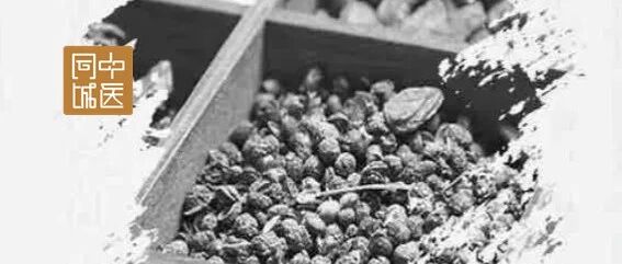 不一样的中医“入门”