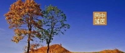 教材之外，针灸治面瘫有“攻略”