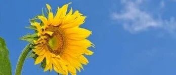 子烦、闭经，可能由于脾阴不足所引起