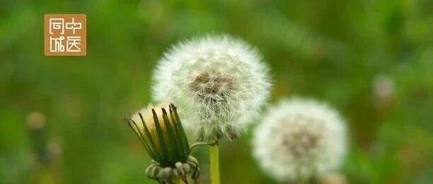 纯干货！王清任逐瘀汤类方证治分析(收藏!)