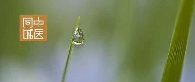 龙骨、牡蛎可以治疗什么样子的咳嗽