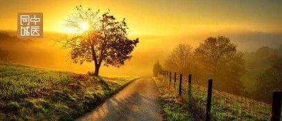 贾博士与中医的结缘之路