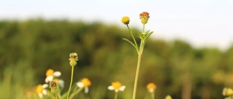 胖人便秘，国医大师有良方