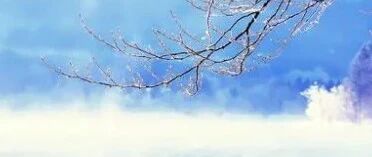 玉屏风散，炒一炒，可以治白带