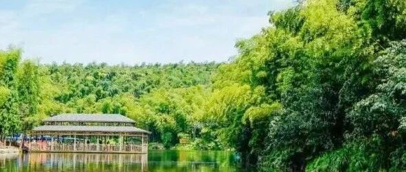 流行在华佗故乡的有效民间单方38首