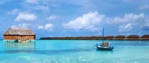 党参能代替人参吗？