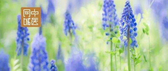 按经取穴疗法治疗坐骨神经痛