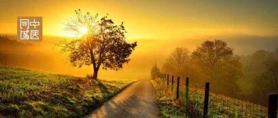 国医大师周仲瑛论治肺炎经验