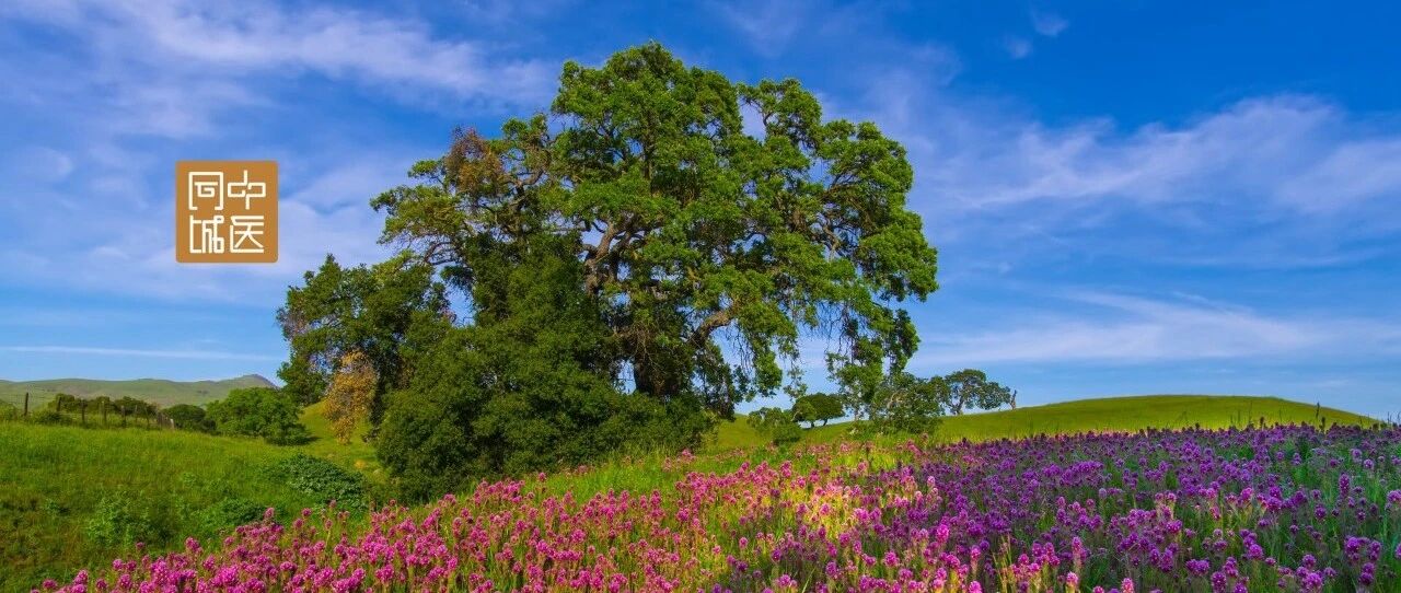 糖尿病、高血压与肾虚之间的关系