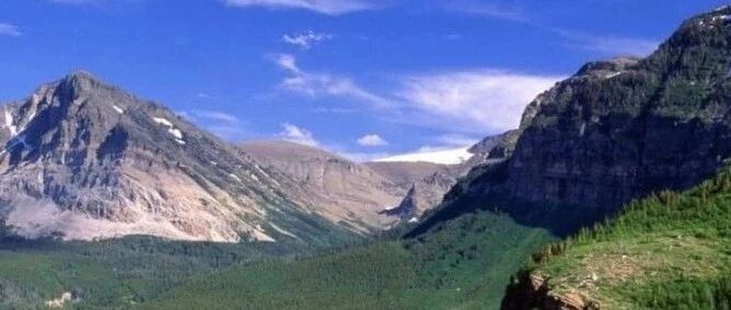 养阴清热治舌痛案