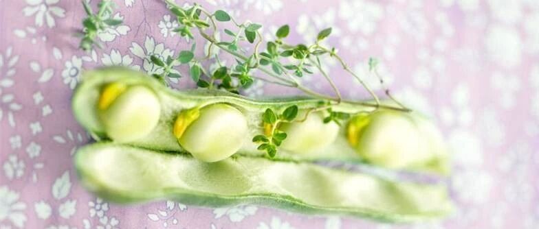 蒲辅周：低烧2年，药费2元！用好甘温除热法是关键！