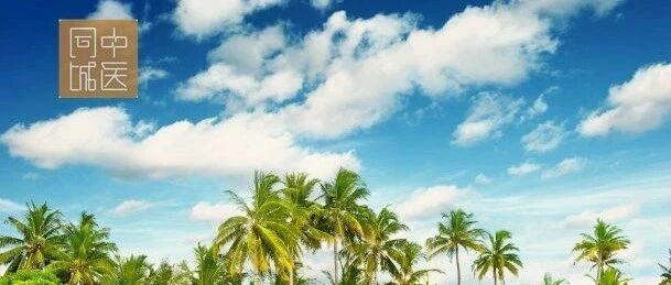 “洋中医”杜丽丝：因中医扎根中国