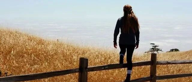 狗脊毛外用止血效果理想