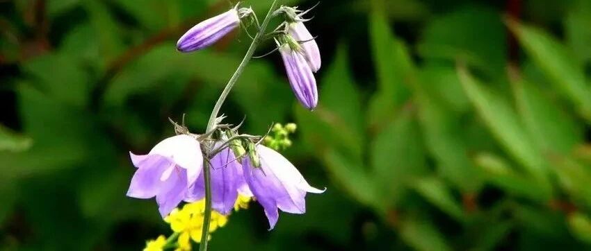 治痛，别忘了这些药对