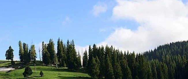 小小一味利咽药竟可治疗泄泻、肾炎蛋白尿？