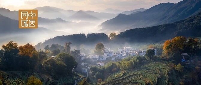 这些治癌的中医辩证误区，你犯了吗?