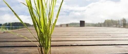 孩子半夜咳嗽，很可能是食积