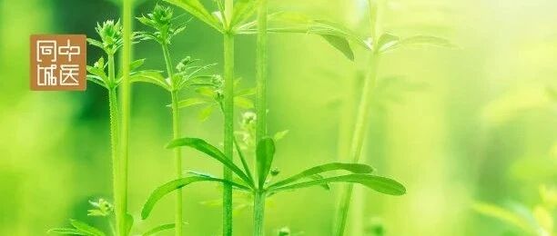 胡希恕先生一生研究《伤寒论》的总结