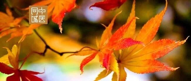 中医美容，离不开《伤寒杂病论》