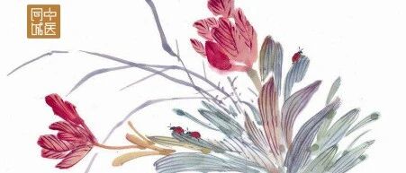 哪些中药与皇帝有关？