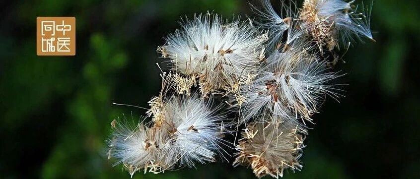 反复发作口腔溃疡，治疗还需要考虑3点