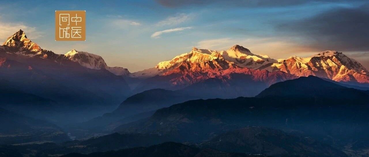 如何对待中医 “无证可辨”