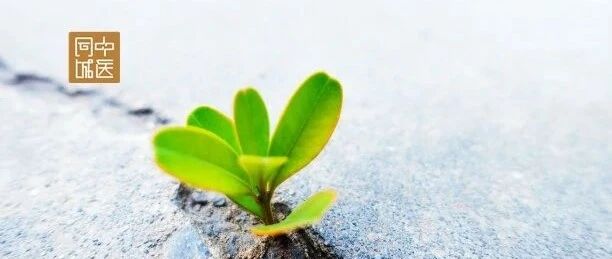 太自信的医者不可取之