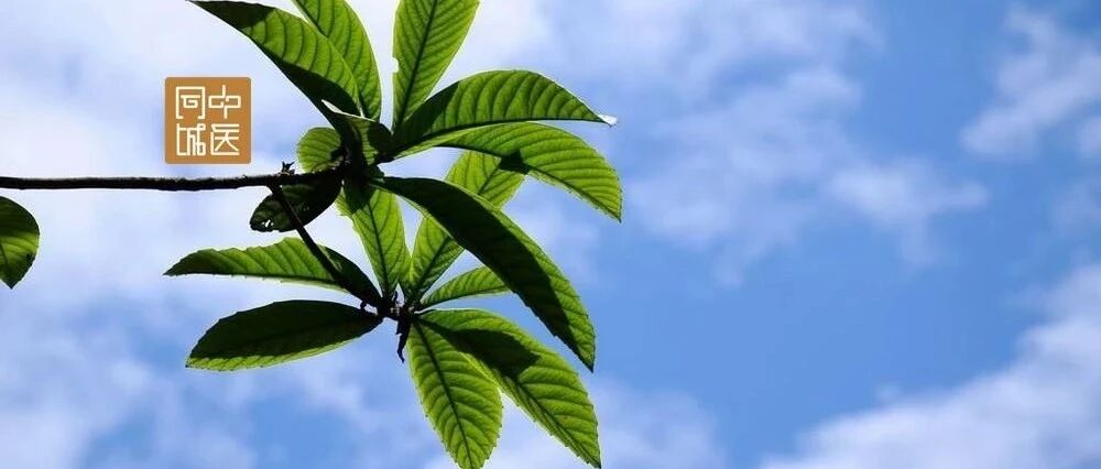 五仁橘皮汤治疗习惯性便秘