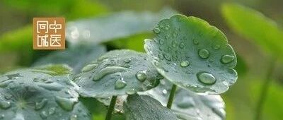 中医的“腠理”到底指的是什么？