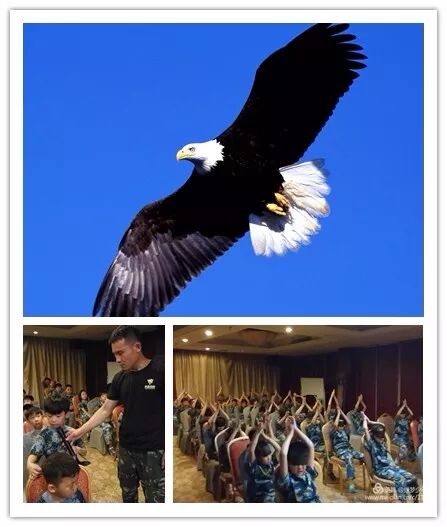 【领袖营】2018少年领袖冬令营|最新动态-河北勇振教育科技集团有限公司