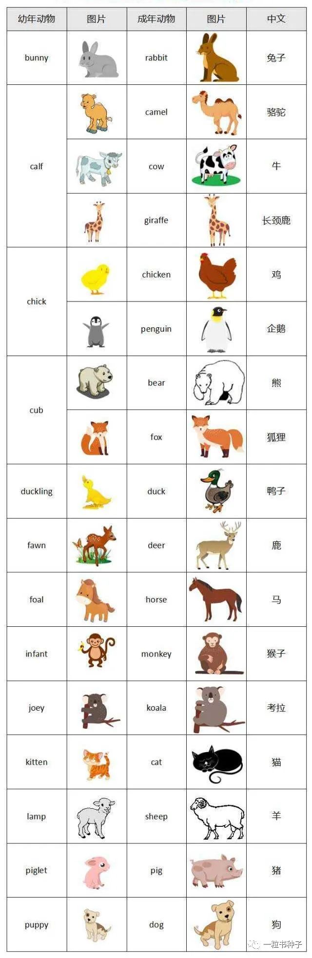 stories是什么意思?怎么读_stories的读法_stories读什么