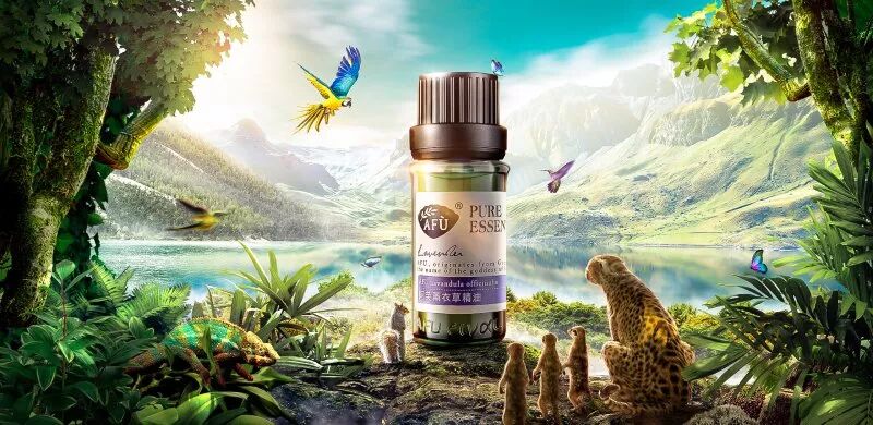 成体系！电商视觉设计学习资源，含教程、素材、欣赏、软件【097期】