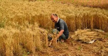 滑膜炎不用慌，农村一锻炼方法，用过滑膜炎再也没犯！