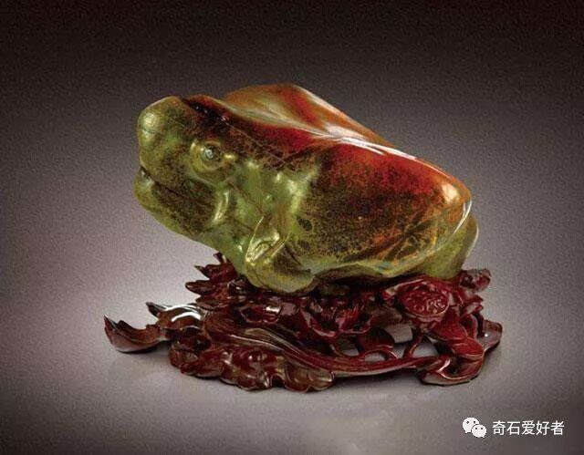 蛙系列 热点讯息网